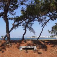 福岡市中央区福浜の売買物件/歩いて5秒で、福浜海岸へ。