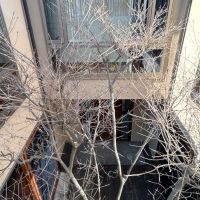 福岡市中央区福浜の売買物件/どこにいても、中庭の木々が視線に入るつくりです。