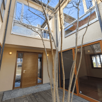 福岡市中央区福浜の売買物件/中庭のシンボルツリーはヤマボウシ。初夏には白い花が咲き、夏は鮮やかな緑、秋の紅葉と四季を楽しめます。