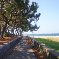 福岡市中央区福浜の売買物件/海と緑が、日常のすぐそばにある環境です。