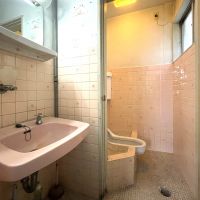 福岡県直方市古町の賃貸物件/薄ピンクの和式トイレと洗面台。