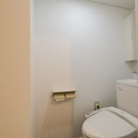 福岡市中央区桜坂の賃貸物件/トイレ、ちょい狭めです。