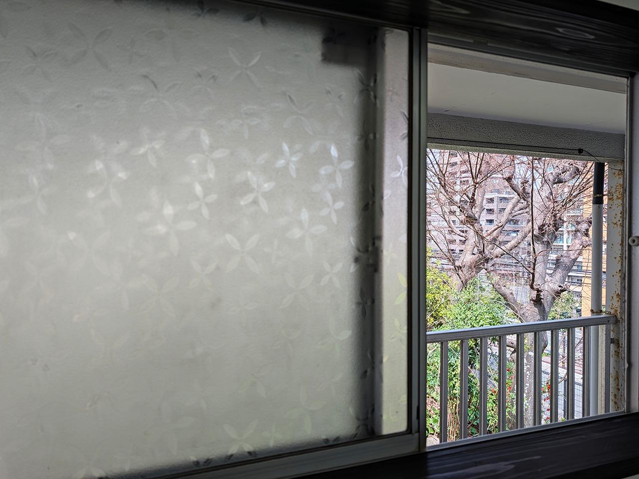 福岡市中央区桜坂の賃貸物件/レトロガラスの向こうには木々。夏には青々と生い茂ります。