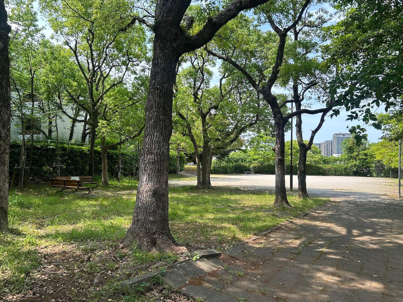 福岡市中央区平尾の売買物件/部屋を出てすぐ近くに、広い公園へアクセスできます。