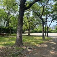 福岡市中央区平尾の売買物件/部屋を出てすぐ近くに、広い公園へアクセスできます。