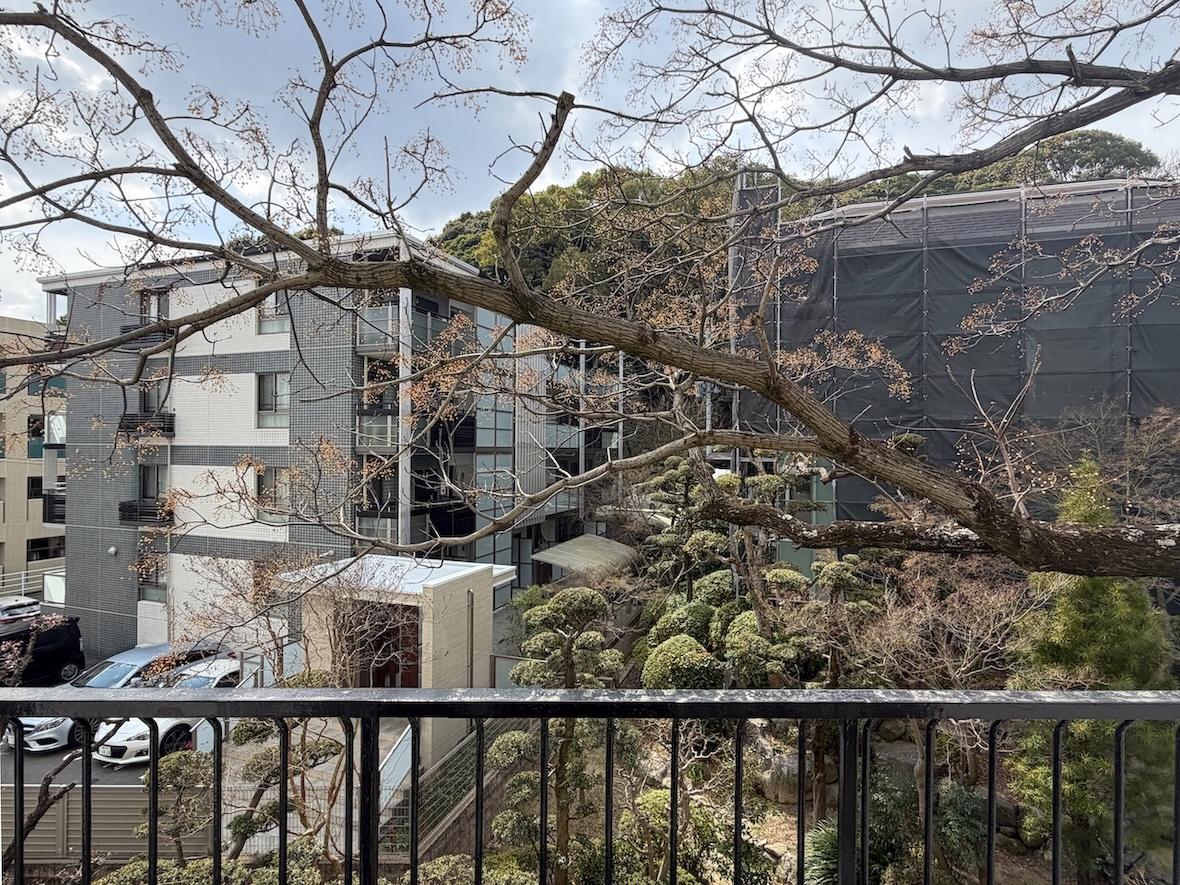 福岡市中央区平尾浄水町の賃貸物件/これからセンダンの木に緑が色づくことでしょう。