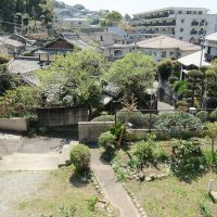 福岡市中央区谷の賃貸物件/丘陵地ならではの眺め。四季折々楽しみだ！