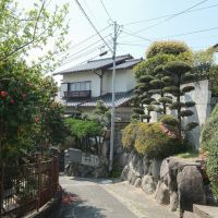 福岡市中央区谷の賃貸物件/前面道路。入り口の狭さを侮るなかれ。