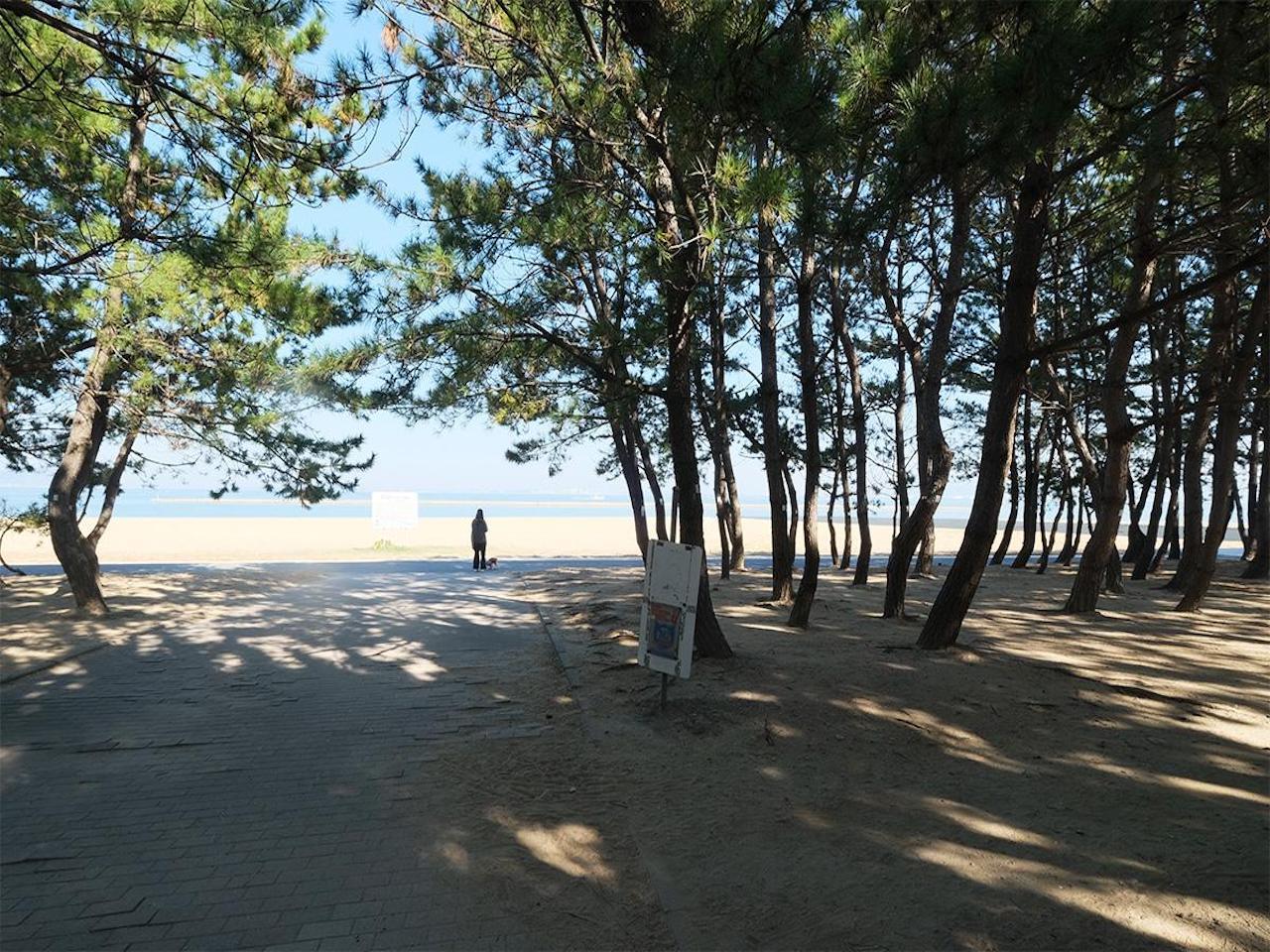 福岡市西区愛宕浜の売買物件/マンションを出れば、すぐ海。この距離感は、海好きにはたまらない環境です。