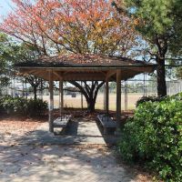 福岡市西区愛宕浜の売買物件/四季折々、季節の移ろいを感じられる環境です。