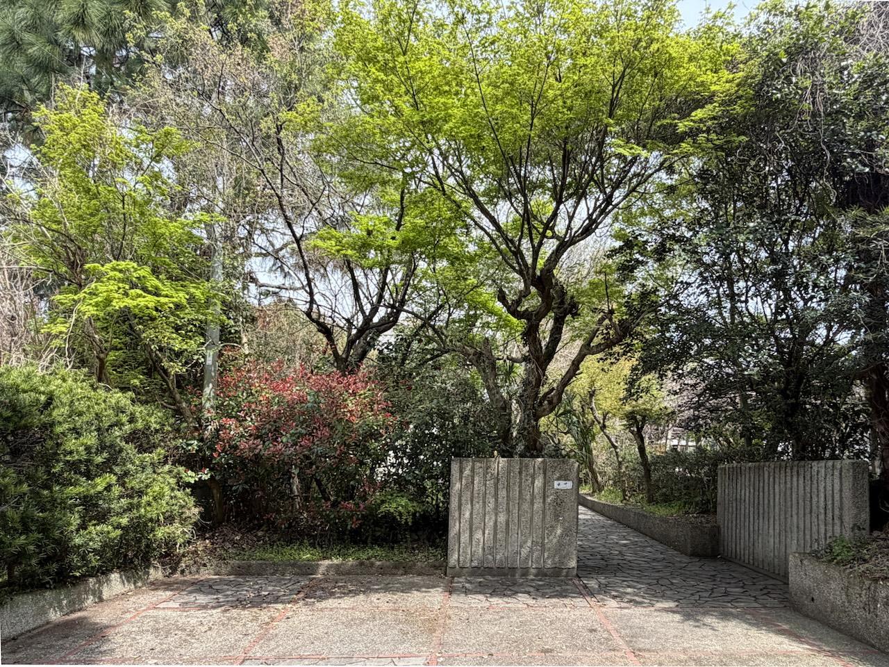 福岡県久留米市草野町の賃貸物件/駐車場から立派な木々たちがお出迎え。