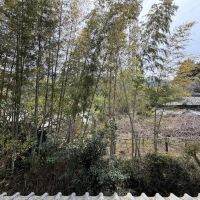 福岡県久留米市草野町の賃貸物件/窓からは立派な竹たち。竹は隣の方の敷地になります。