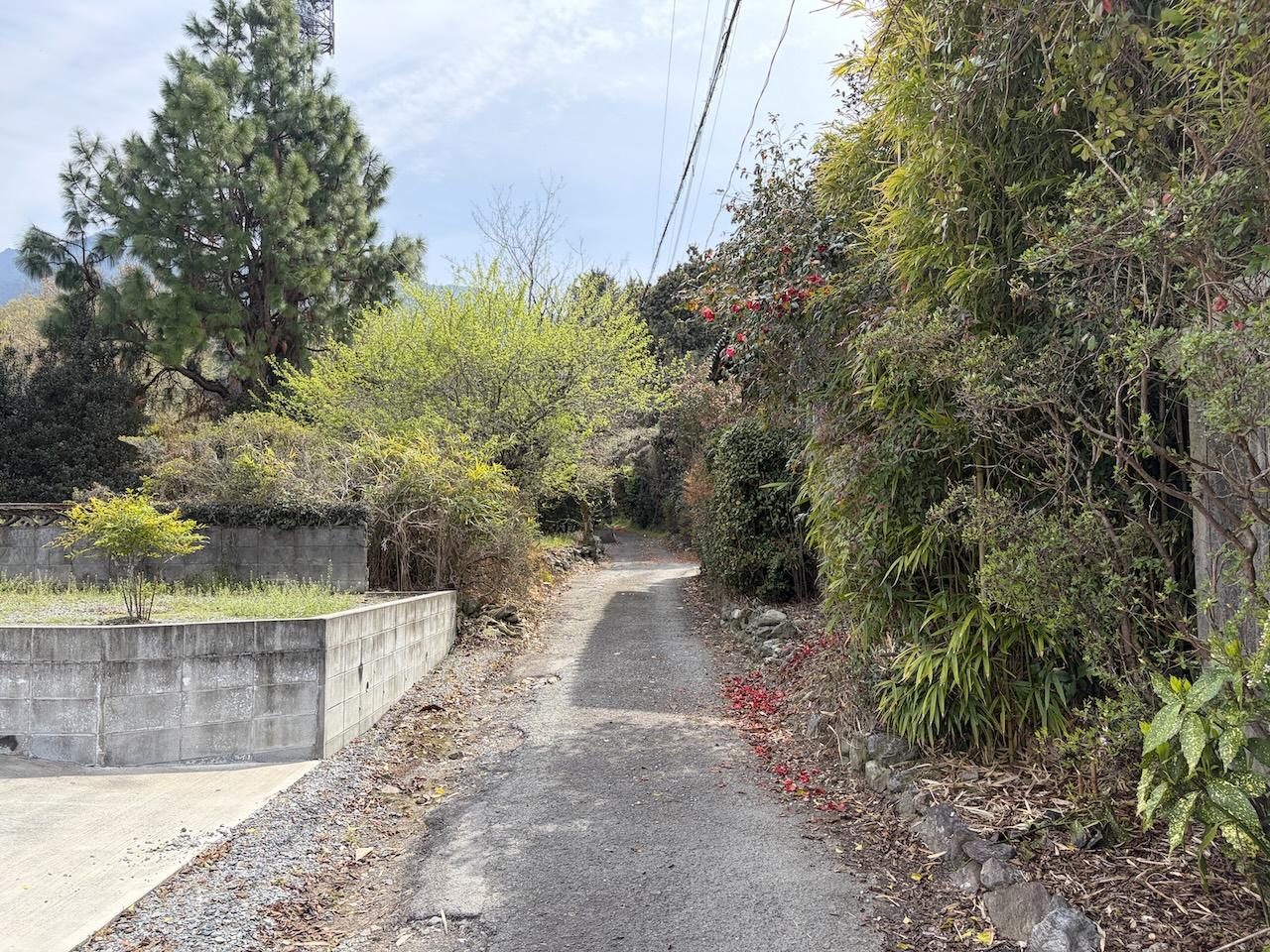 福岡県久留米市草野町の賃貸物件/物件までの道は少し狭めですが、車両は問題なく通行できます。