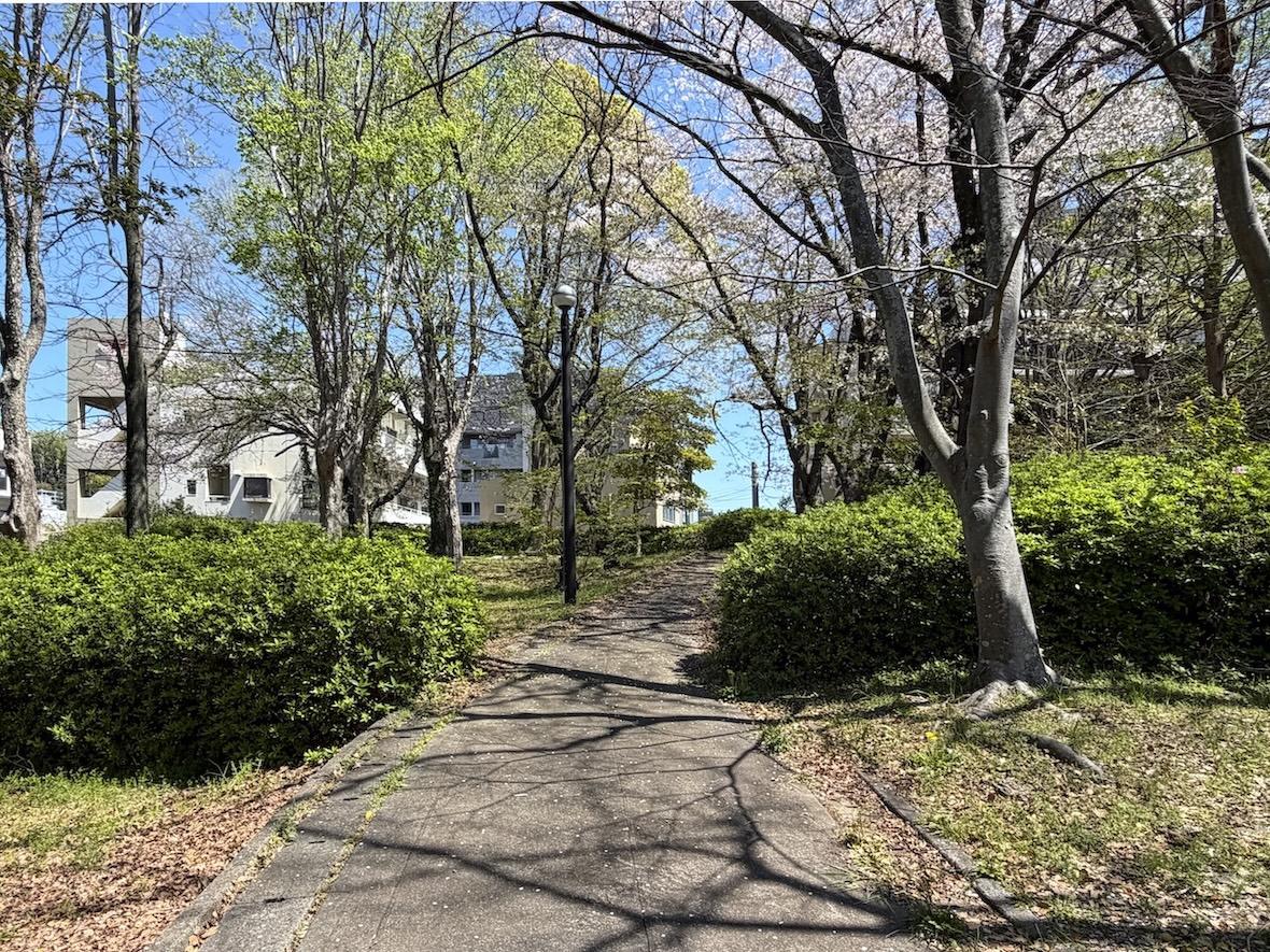 福岡市中央区小笹の賃貸物件/建物裏には、立派な緑地。