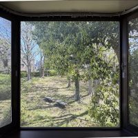 福岡市中央区小笹の賃貸物件/住居区画：窓からは緑地ビュー