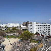 福岡市南区大楠の賃貸物件/バルコニーから公園を眺めることができます。