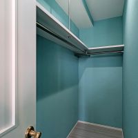 福岡市博多区東比恵の賃貸物件/嬉しいウォークインクローゼット付き。ここの壁も一面ぬかりなし。