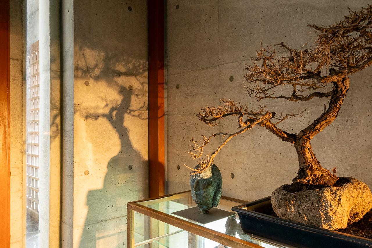 福岡市中央区六本松の賃貸物件/照明にこだわっているので、素敵な影がうまれます。