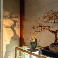 福岡市中央区六本松の賃貸物件/照明にこだわっているので、素敵な影がうまれます。