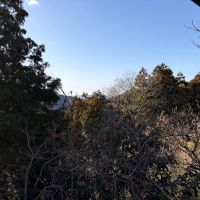 糸島市二丈吉井の売買物件/聞こえるの鳥の鳴き声。