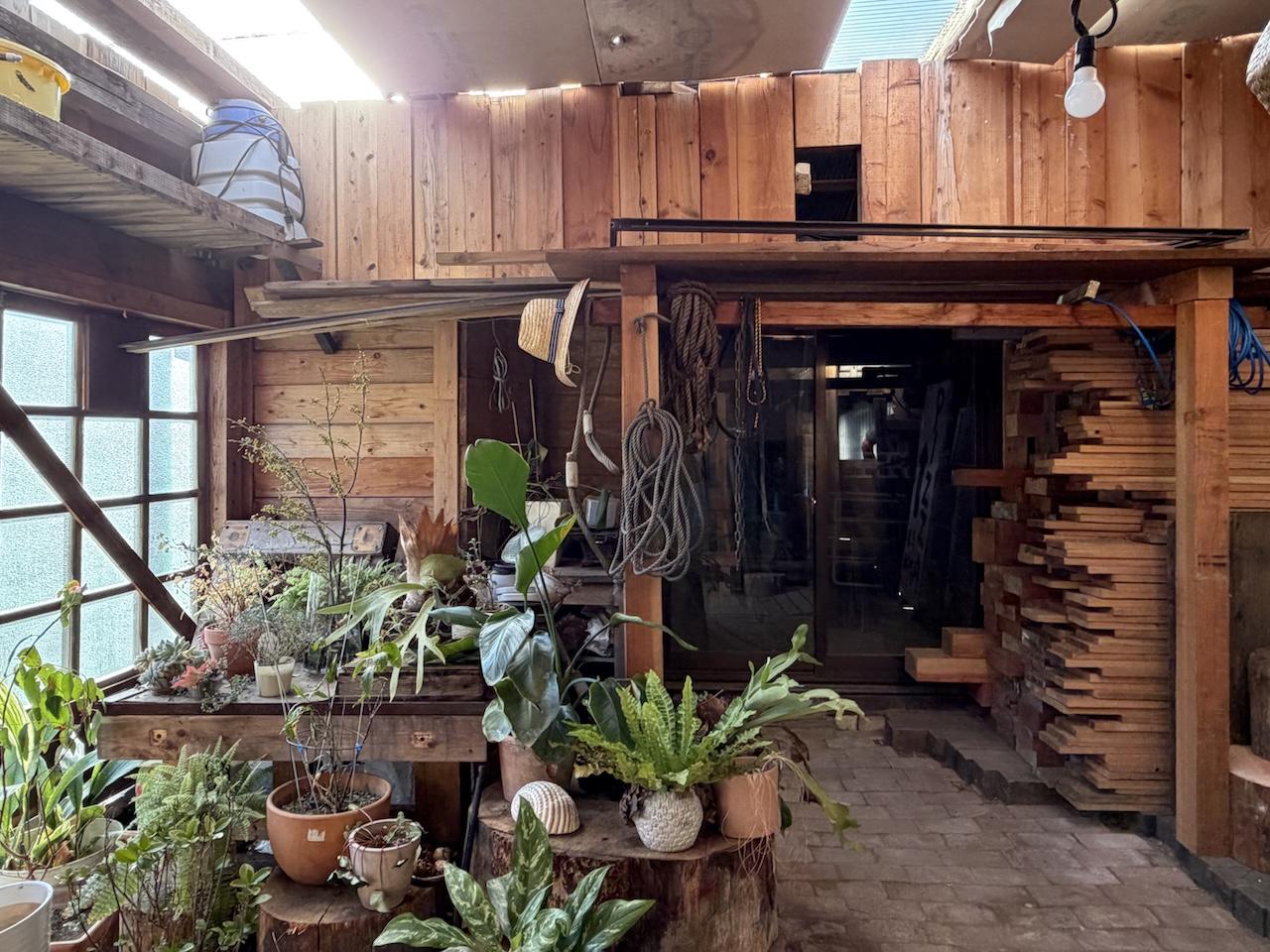 糸島市二丈吉井の売買物件/一瞬、植物SHOPかと思いました。