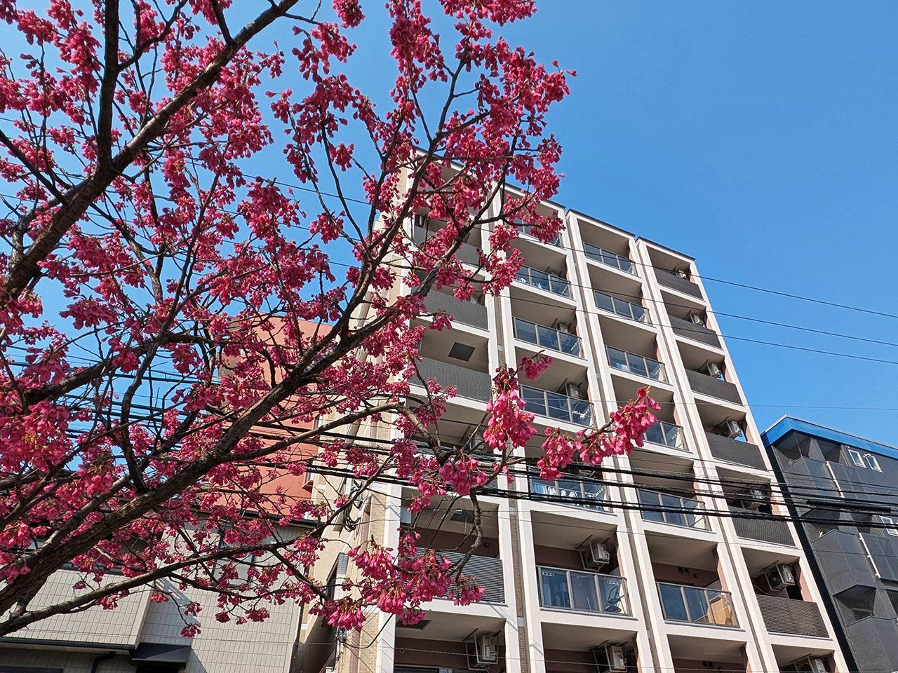 福岡市中央区今泉の賃貸物件/街を楽しみ、暮らしも楽しむ。