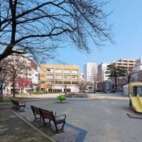 福岡市中央区今泉の賃貸物件/都会のオアシス。