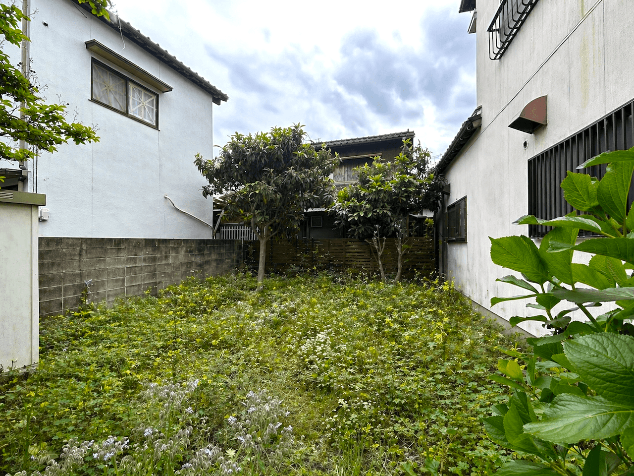 福岡市城南区田島の賃貸物件/雑草も元気に育つこの環境。広さはしっかり確保されています。