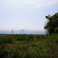 福岡県糸島市二丈鹿家の売買物件/海との間に少し距離があるからこそ、穏やかにこの景色を楽しめそうです。