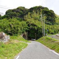 福岡県糸島市二丈鹿家の売買物件/周りは緑が多い環境です。