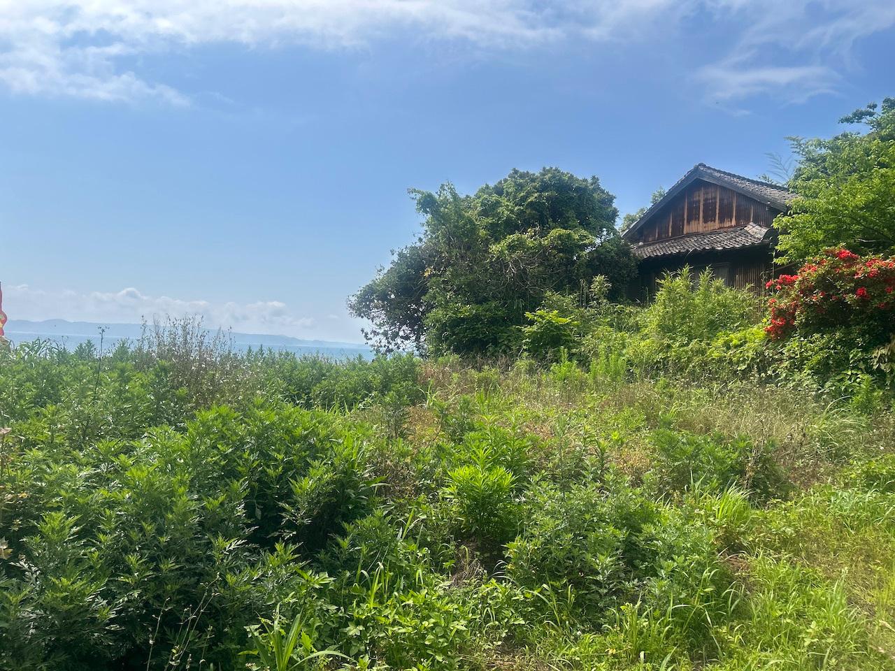 福岡県糸島市二丈鹿家の売買物件/現況は草木が茂っていますが、広さもしっかりと確保されています。