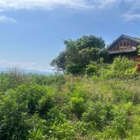 福岡県糸島市二丈鹿家の売買物件/現況は草木が茂っていますが、広さもしっかりと確保されています。