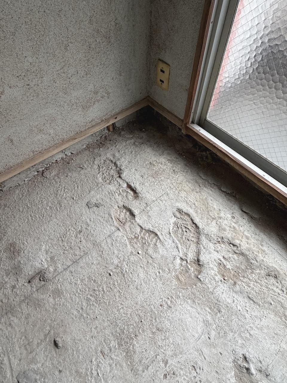 福岡市中央区平尾の賃貸物件/おや、新築時にコンクリートが固まる前に入った、うっかりさんがいたようです。