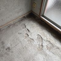 福岡市中央区平尾の賃貸物件/おや、新築時にコンクリートが固まる前に入った、うっかりさんがいたようです。