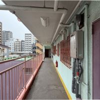 福岡市中央区平尾の賃貸物件/玄関前共用部。ポップなカラーリング。