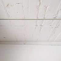 福岡市中央区清川の賃貸物件/天井はダクトレールの照明。