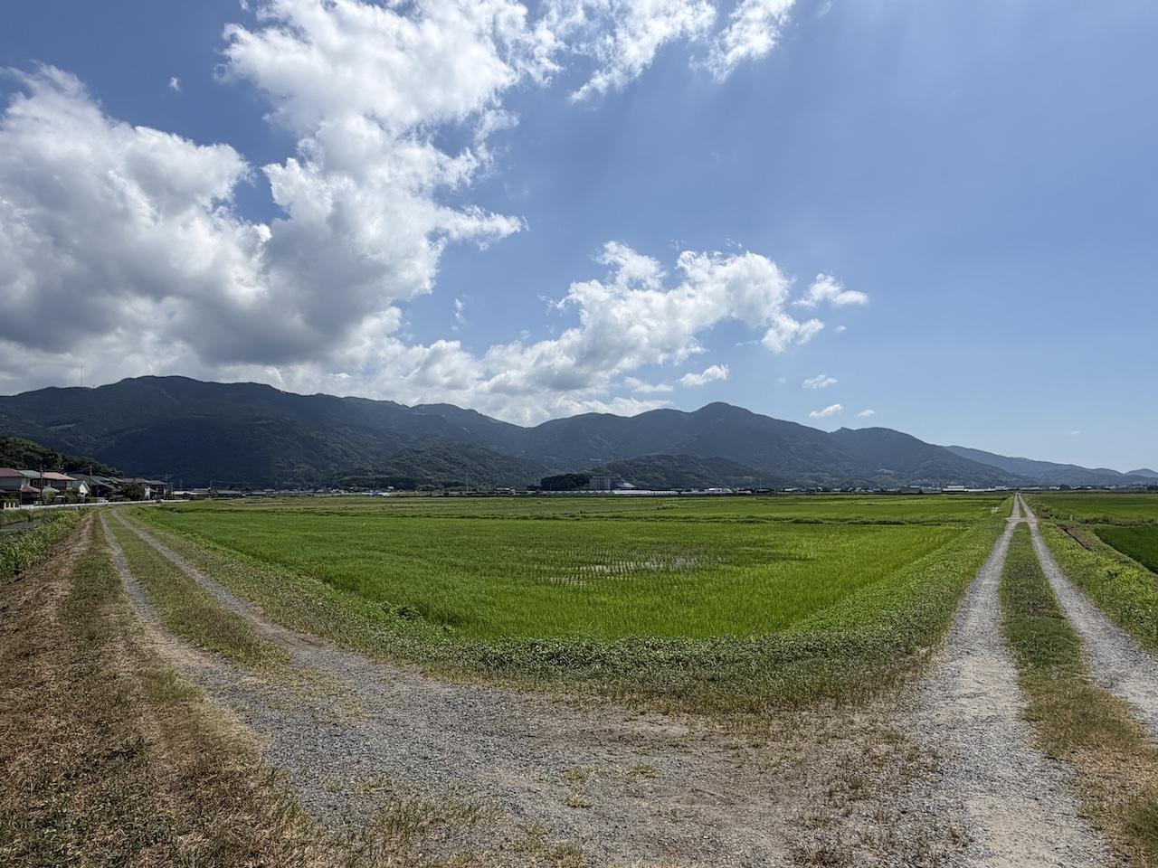 糸島市二丈武の売買物件/少し歩けば、のどかな田園風景。お散歩にぜひ。