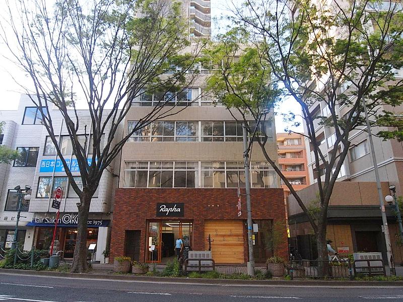 緑が寄り添ってくれているみたいです