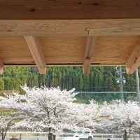 福岡県八女市上陽町久木原の賃貸物件/春に撮った1枚。実は敷地に桜並木があります。窓から見る四季が美しいです。