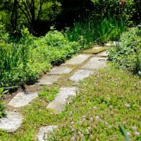 佐賀県佐賀市富士町大字下合瀬の売買物件/この石畳を奥へ進んでいくと小川へ。