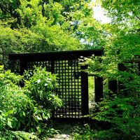 佐賀県佐賀市富士町大字下合瀬の売買物件/正門です。もう1箇所勝手口もあります。