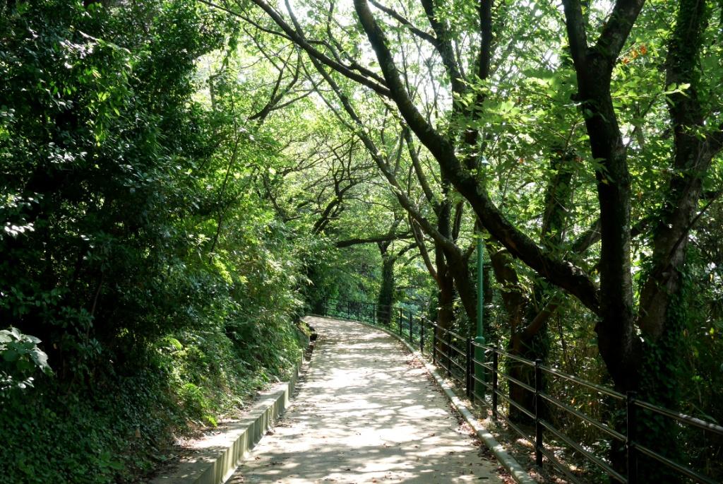 この緑道、余裕の徒歩圏内