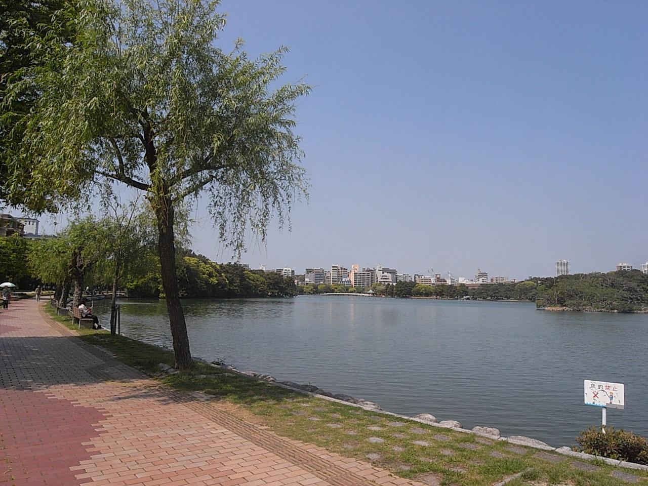徒歩1分で大濠公園が待っています