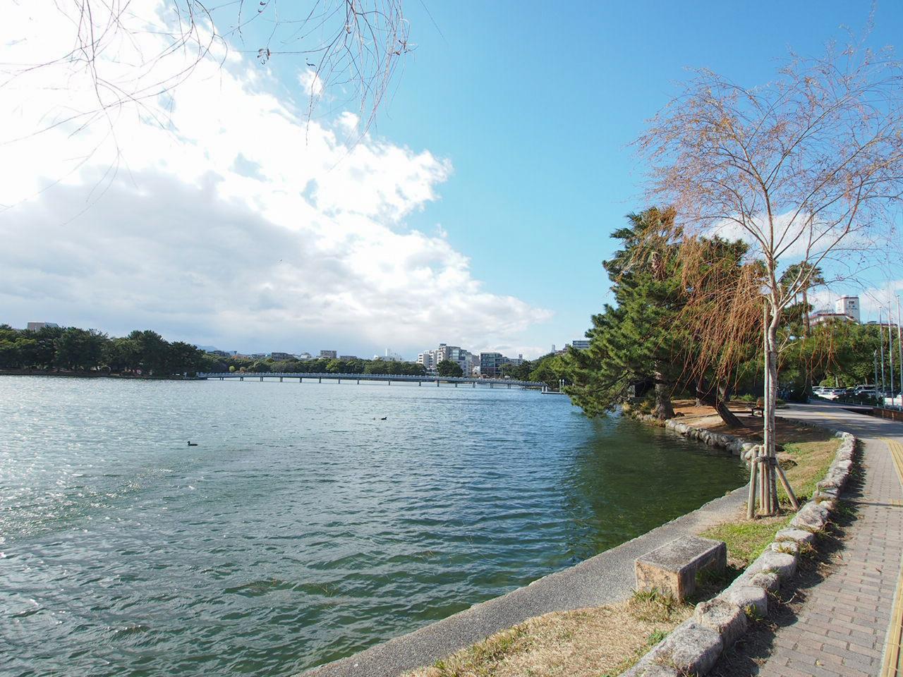 大濠公園がお庭です