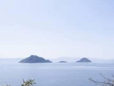 鹿児島県霧島市隼人町野久美田の売買物件/三島の中の1つ、沖小島