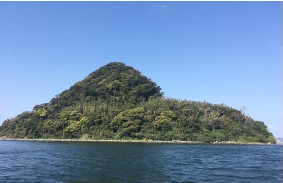 鹿児島県霧島市隼人町野久美田の売買物件/この島の一部を所有出来ます