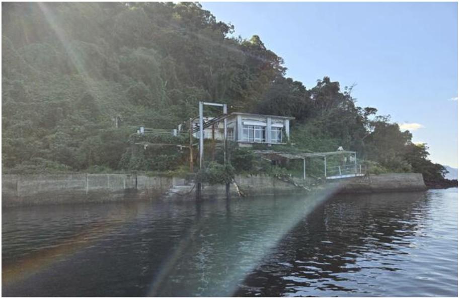 鹿児島県霧島市隼人町野久美田の売買物件/賃貸中の建物もついてきます