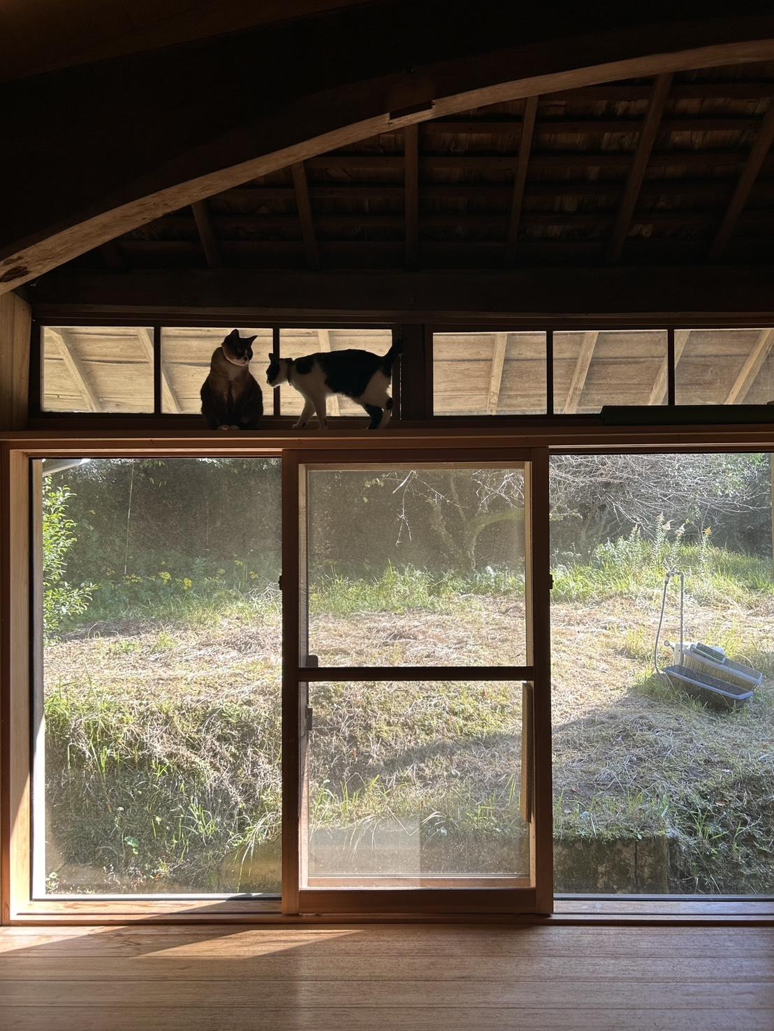 鹿児島市石谷町の売買物件/キャットウォーク付きの窓枠