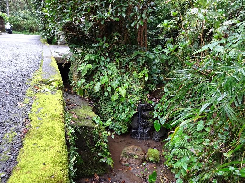 物件向かいの水路 雨露残るこの感じが素敵です