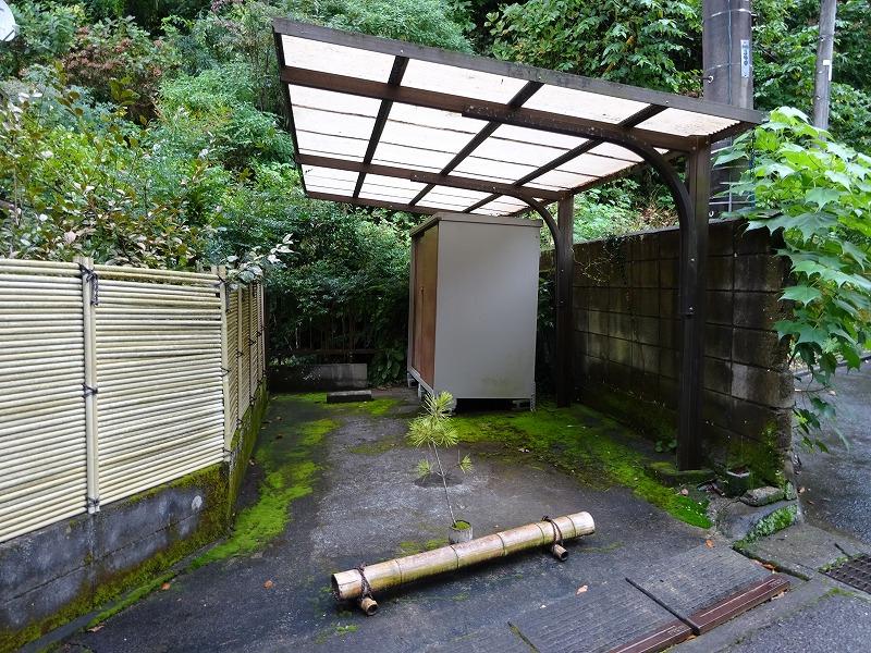 駐車場 ここでもコケが出迎えてくれます